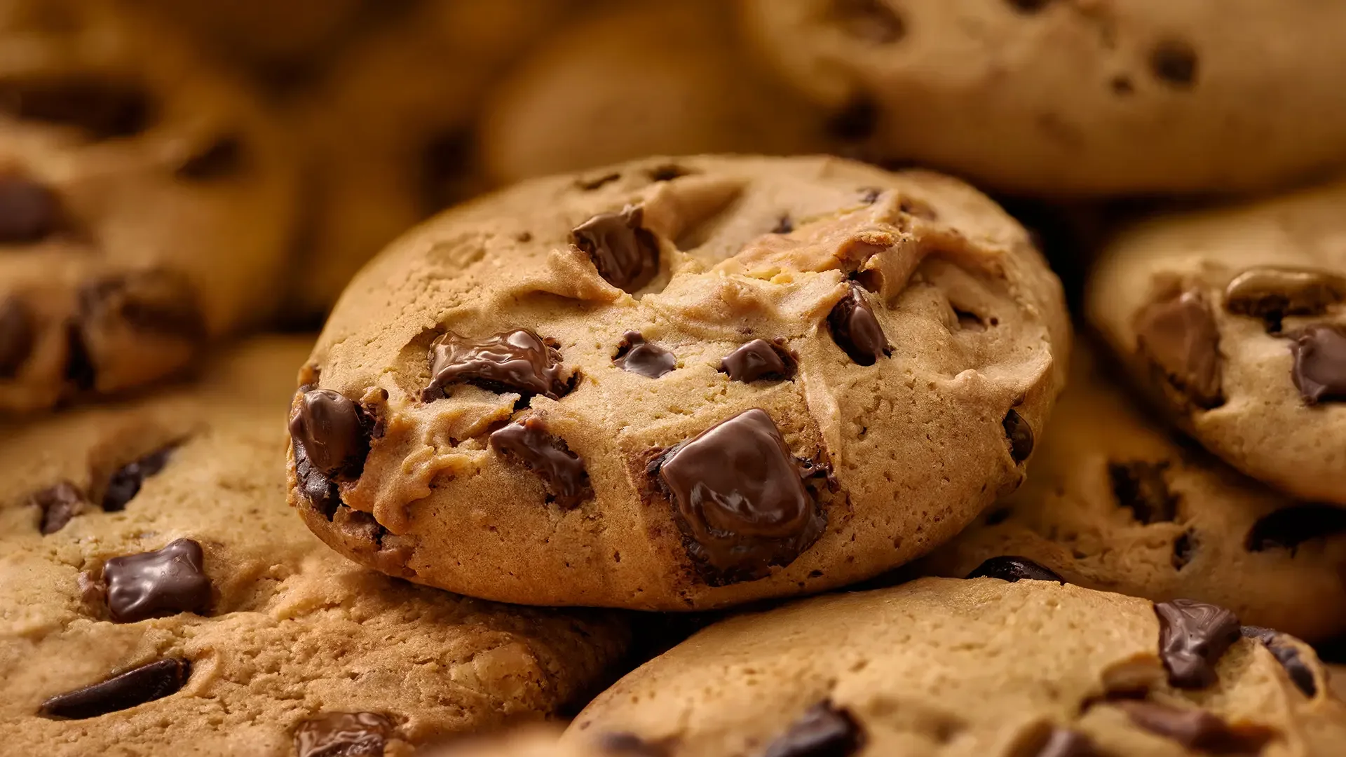 Freshly baked chocolate chip cookies