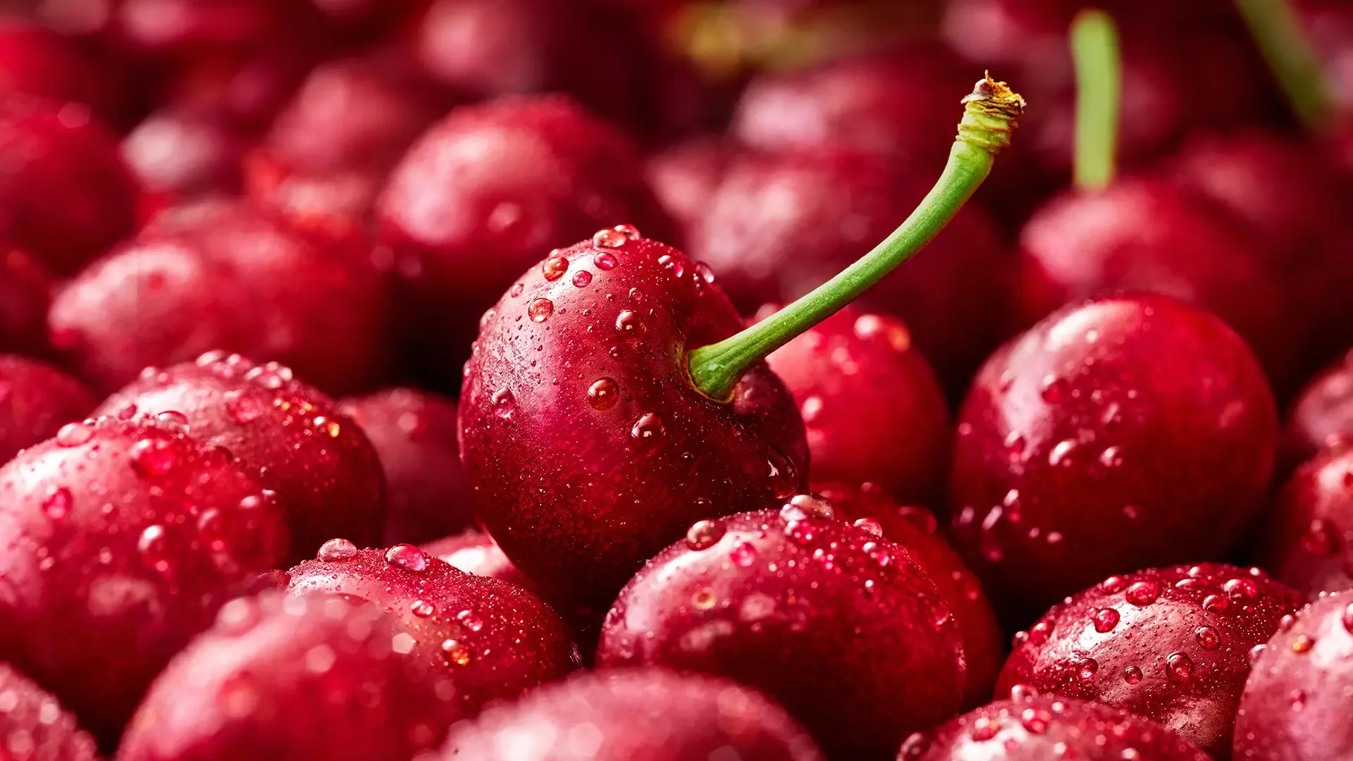 Glossy fresh cherries in the Woolworths Christmas campaign